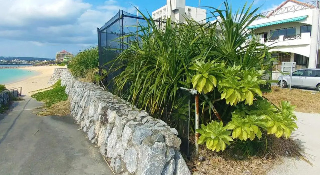 Апартаменты Kariyushi Condominium Resort Sea Side House