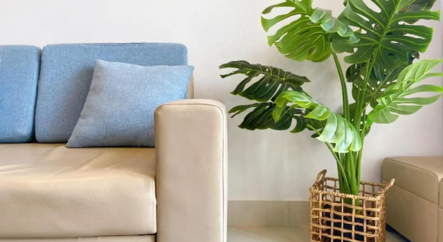 Апартаменты c 1 комнатой Tropical House Vung Tau- Melody Apartment