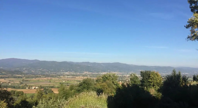 Апартаменты Цокольный этаж Vigna del Poggio