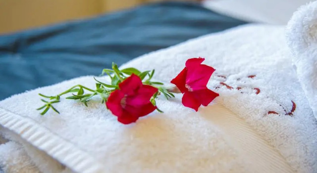 Студия Standard Toxo Hotel