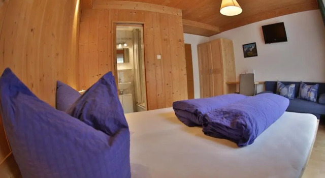 Номер Standard Hotel Stecher