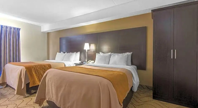 Двухместный номер Standard Цокольный этаж Comfort Inn