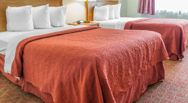 Четырёхместный номер Standard Quality Inn Royle