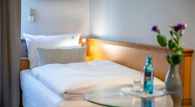 Номер Comfort Insel Hotel Bonn - Superior