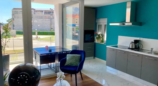 Апартаменты c 1 комнатой Deluxe Suites Mandić