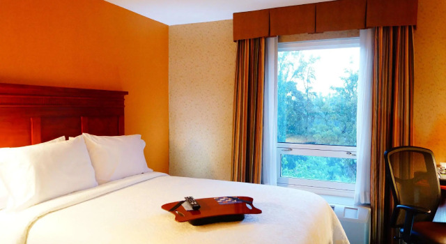Четырёхместный номер Standard Hampton Inn by Hilton Guadalajara-Aeropuerto