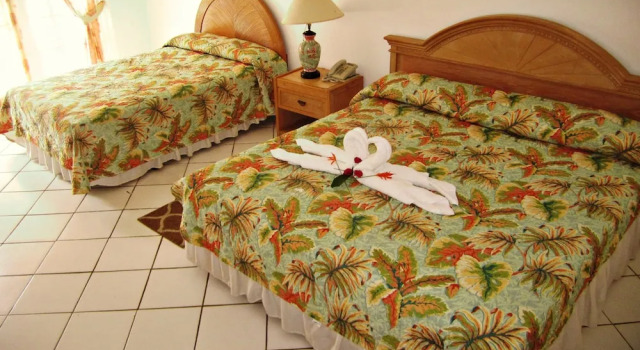 Номер Deluxe The Downtown Hotel