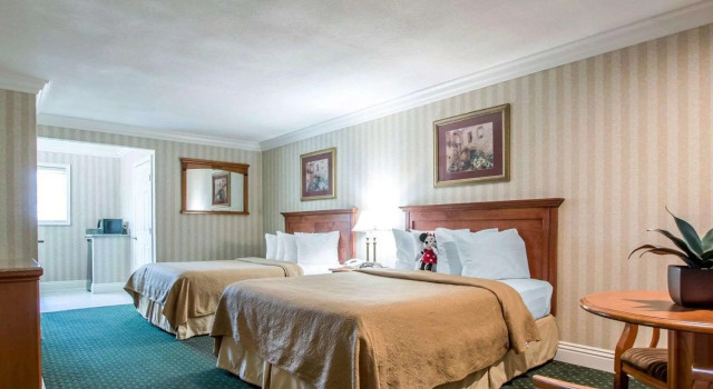 Четырёхместный номер Standard Quality Inn & Suites Anaheim Maingate