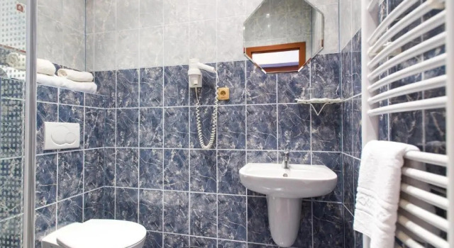 Одноместный номер Standard Hotel Šumava