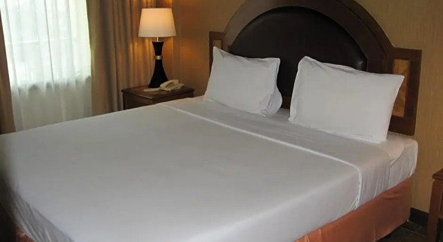 Номер Standard P.S. Hotel