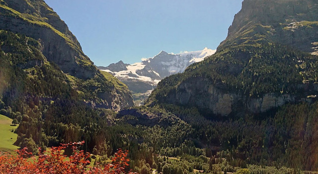 Chalet Bärgsunna 20616, Забронировать Шале Гриндельвальд Jungfrau, рядом с Горнолыжный подъемник Фирстбан