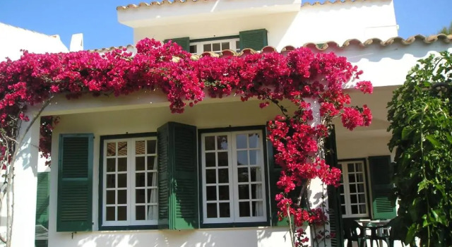 Apartamentos Las Brisas I & II