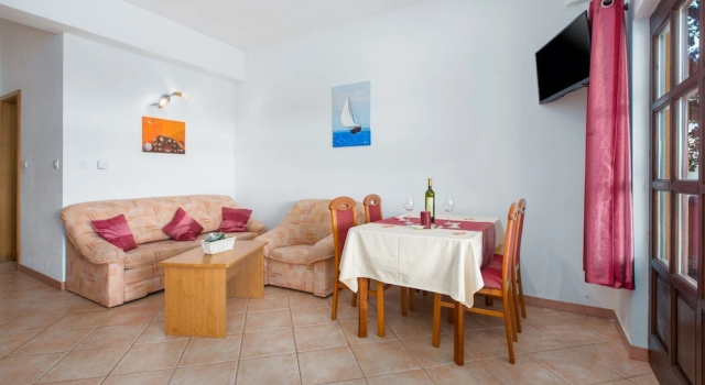 Appartamento Apartment Damjan
