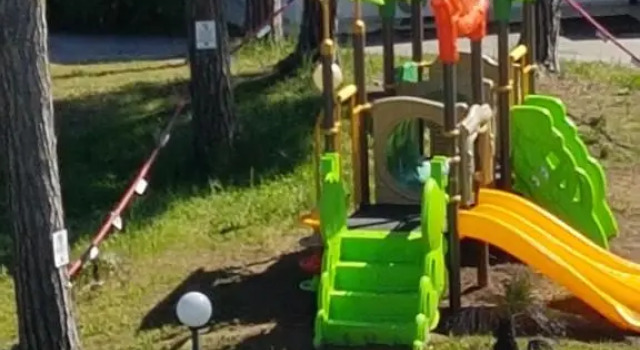 Номер Standard Oasi Verde