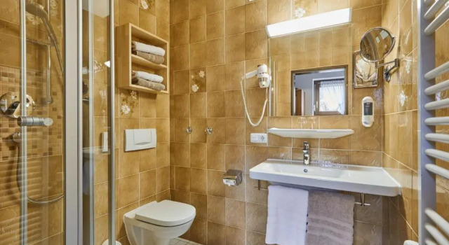 Номер Standard Hotel Garni Zugspitz