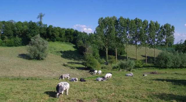 Au Natur Ailes des Collines, Rezerwuj Hotel Tournai 