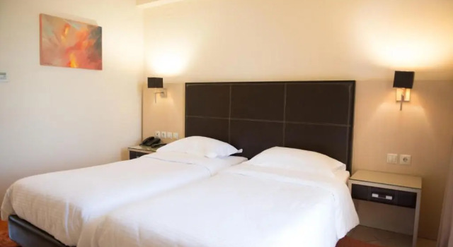 Двухместный номер Standard Premier Agrinio Heart Hotel
