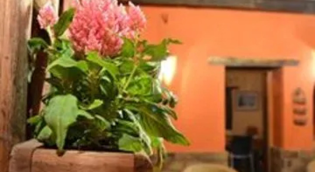 Surf Resort Hotel, Book Resort Hotels in Tenerife with Parking, Parking