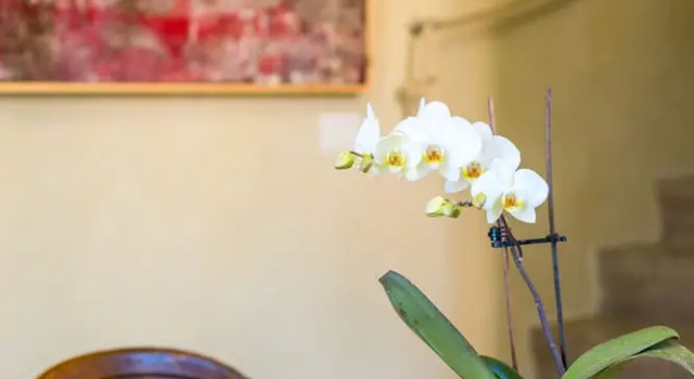 Люкс с видом на озеро White Lilac Romantic B&B