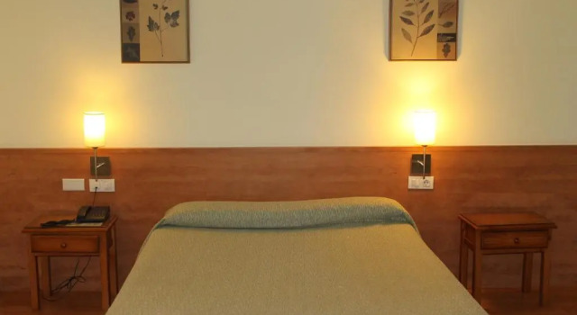 Двухместный номер Hotel Flora Parc