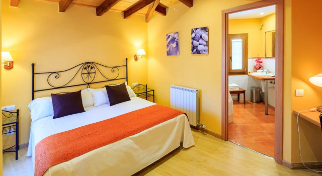 Двухместный полулюкс Hotel Ripoll
