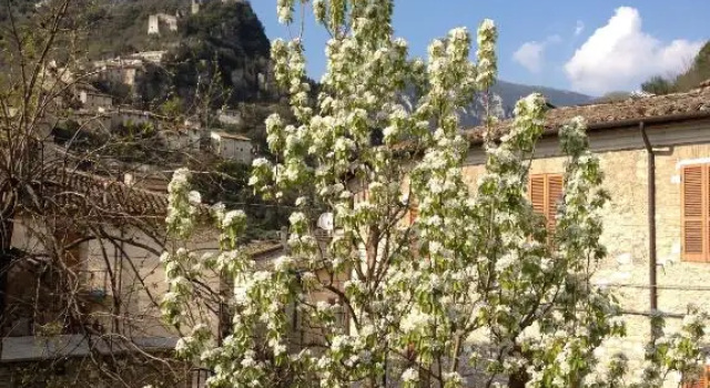 Il Borgo Agriturismo, Reserva ahora Hotel Hoteles en Ferentillo con aparcamiento, Aparcamiento