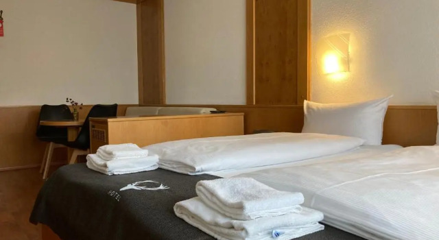Двухместный номер Standard Hotel JÄGERHAUS in Singen am Hohentwiel