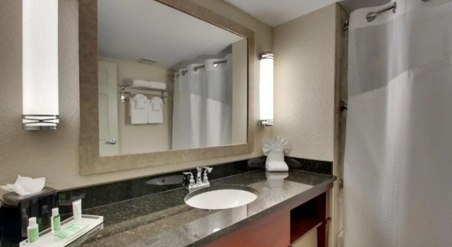 Номер Standard Holiday Inn Resort Orlando - Lake Buena Vista by IHG
