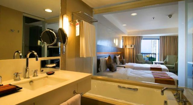 Двухместный номер Deluxe Century Park Hotel
