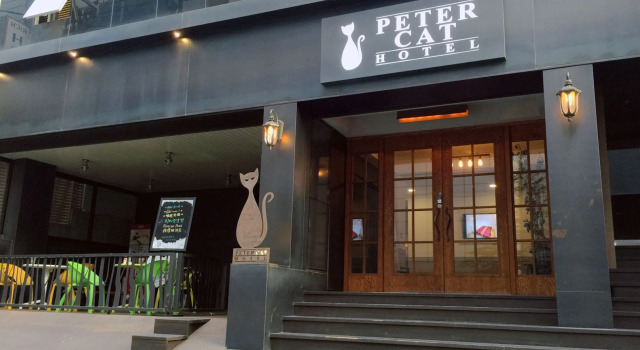 Petercat Hotel Sinchon Hongdae