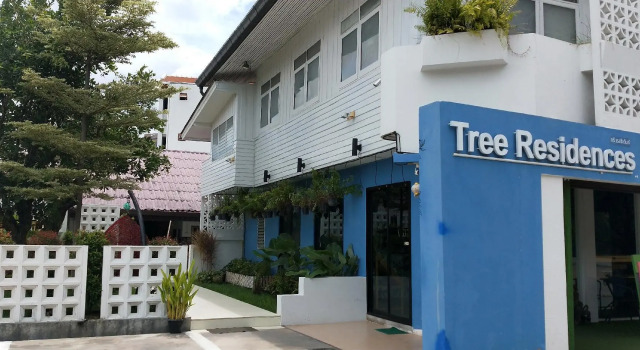 Одноместный номер Standard Tree Residences
