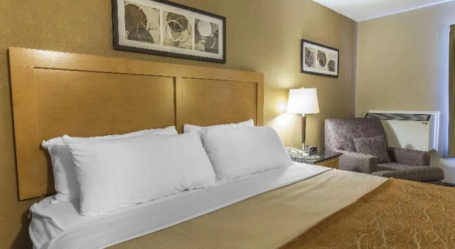 Номер Standard Comfort Inn Corner Brook