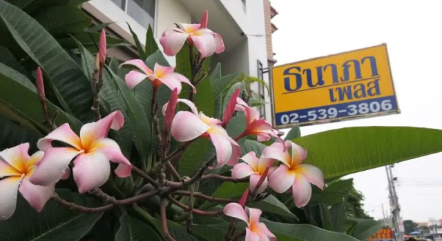 Двухместный номер Standard с балконом Thanapa Place