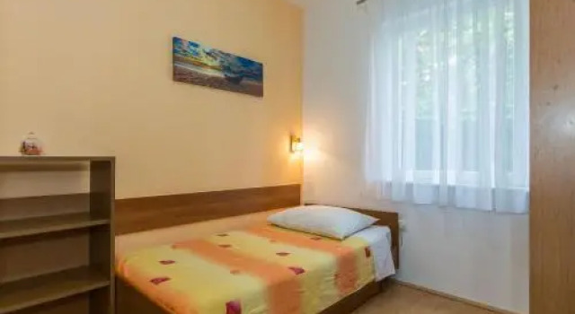 Apartment Petar