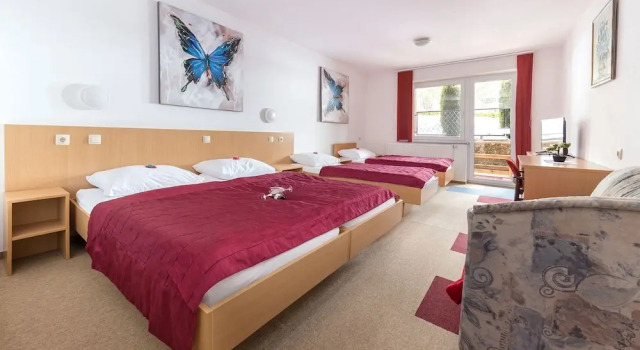 Номер Deluxe Hotel Center Bohinjsko Jezero