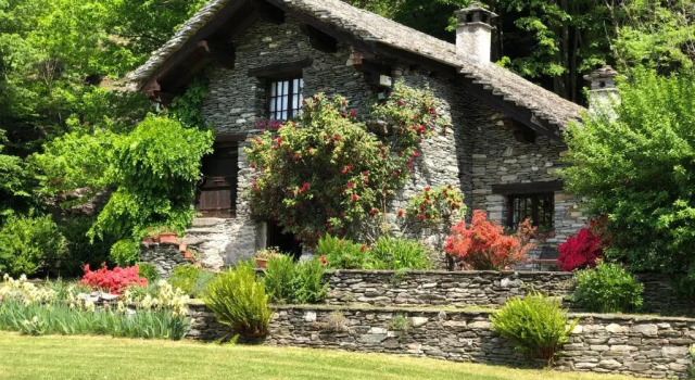 Chalet Le Primule