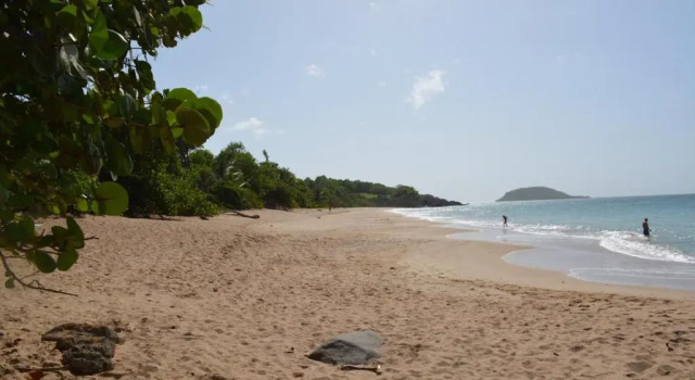 Middle Country 97-1 "la recette du bonheur", Book Hotel Hotels in Basse-Terre with a Pool, Swimming Pool
