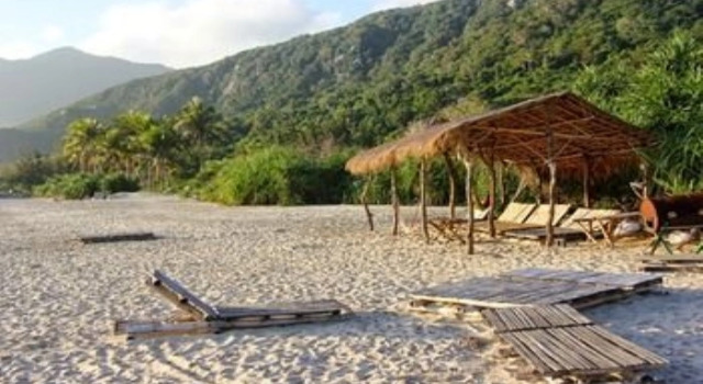 Villa Palm Breeze