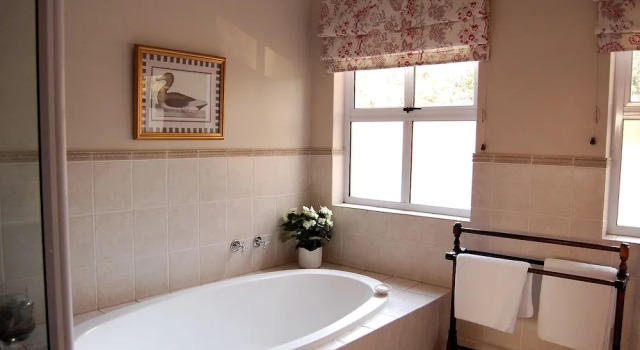 Wild Olive Executive Suite