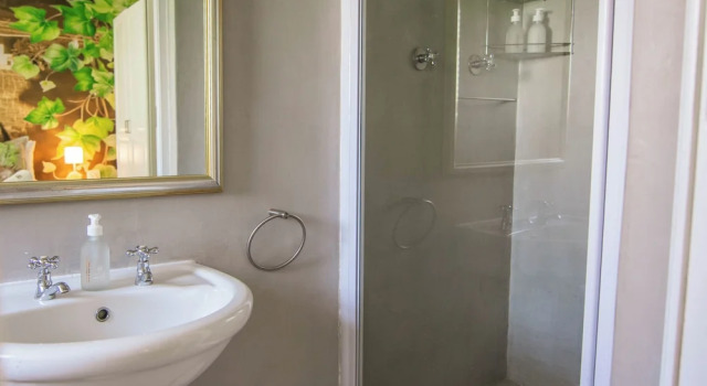 Одноместный номер Classic Rozenburg Guest House