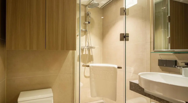 Двухместный номер Standard Sotetsu Fresa Inn Seoul Myeong-dong