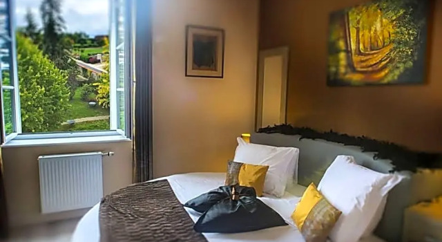 Номер Premium Hôtel Le Haut des Lys