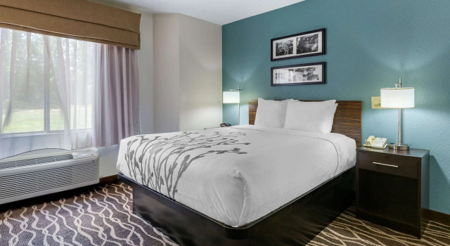 Двухместный номер Standard Sleep Inn Fayetteville I-95