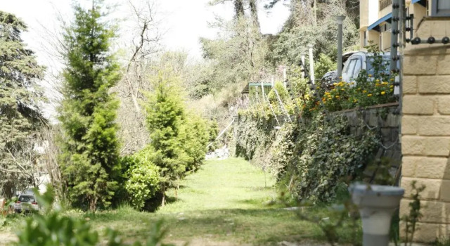 Shimla Golf Resorts
