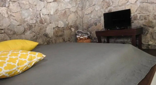 Relaxing Sound of River Birds Squirrels, Book Hotel San Antonio San Jose
