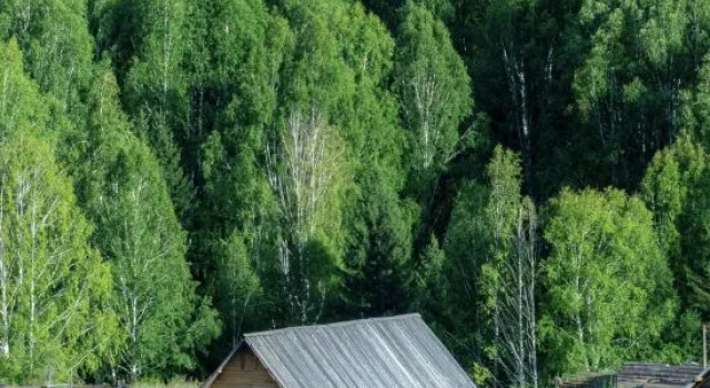 Fenghua Zhenxue Log Cabin - Fusion Aesthetics Restaurant Resort (Kanas Scenic Area Branch), Reserva ahora Resort Hoteles resort en Altay, Resort