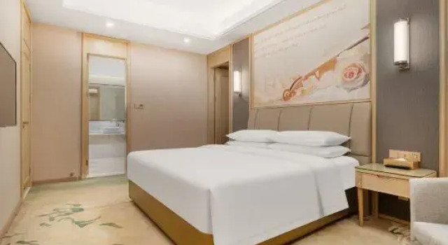 Люкс Standard Vienna International Hotel (Chengdu Happy Valley, Dongzikou Metro Station)