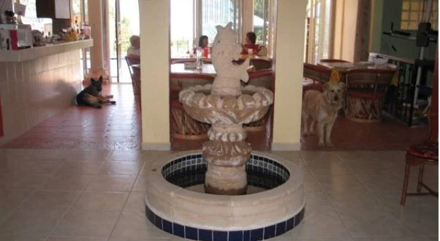 La Puerta Violeta Guest House & Spa, Book Guesthouse Hotels in Jalisco with a Pool, Swimming Pool