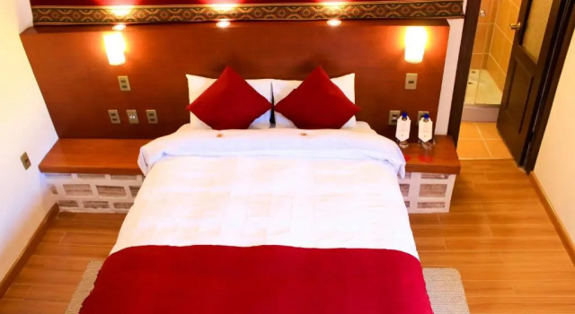Двухместный номер Standard Hotel Palacio de Sal