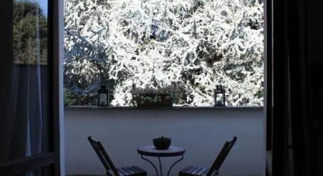 Junior-Suite mit Gartenblick Cavour 45